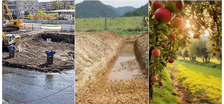 スキッドステアローダーオークション